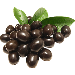 Olive PNG-14267